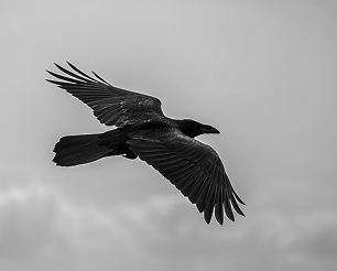 Adaptability
